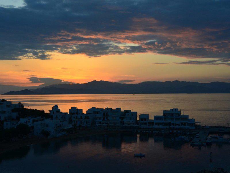 9FA7D78818B3941DA04E6DBF054B6648