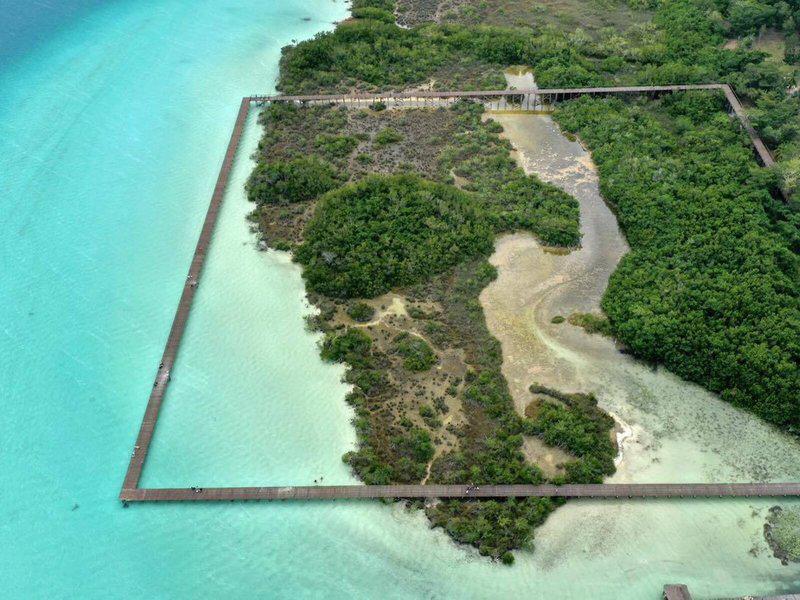 61495F5CC4E69E3E81C6EC11E0E718F2