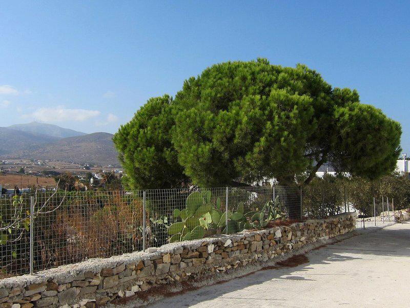 8D0F01707A3A5AC7B1392541F0666446