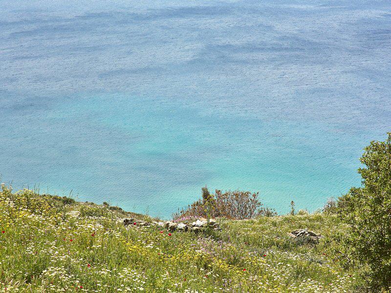 7D84B75315AF60B9A17B724CCB51E214