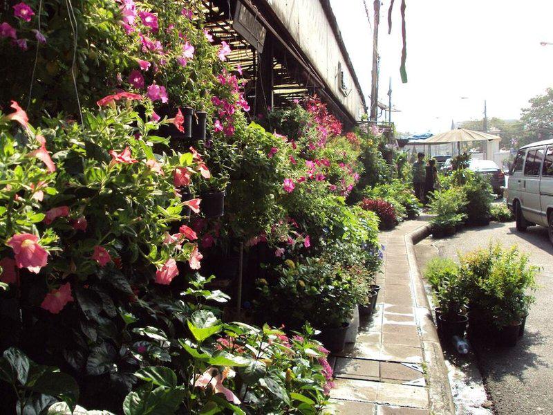 20239D38B33D3882EC4D57CD0B9DFB0A