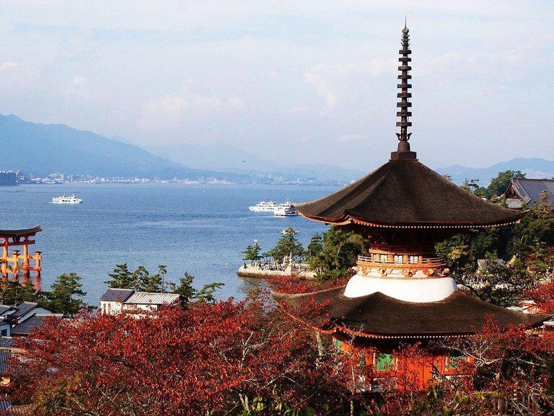 36D2582001BD2EC2A4D24AB93A4FC8A2