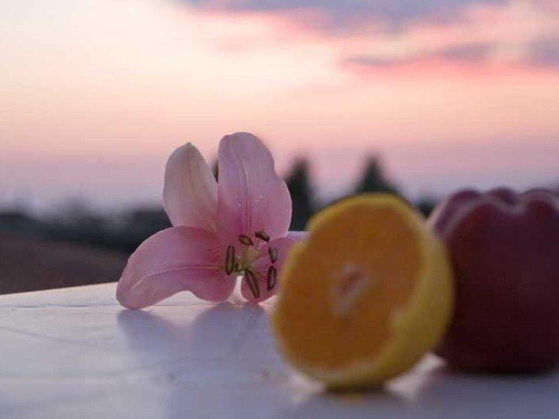 B6DA385DCE5D29C7583A3A75665530CA