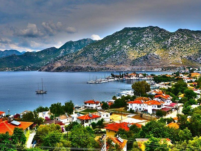 6EA26C2CA308D81A4E8704DCE1CA168F