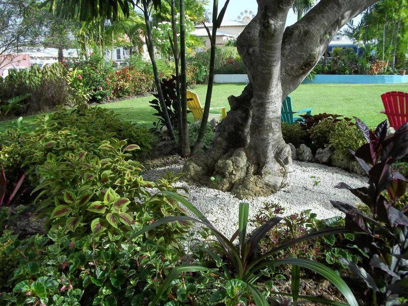 76FA0ED7A1A9F0486D7D33F2A3367F22