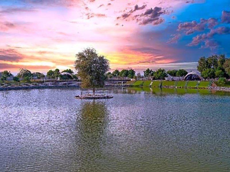 2A32CCE8603B762D68C9AD6B9D913E90