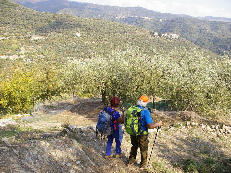 8BC69C1695C11C2C6CC4FE3F3FEDCD4C