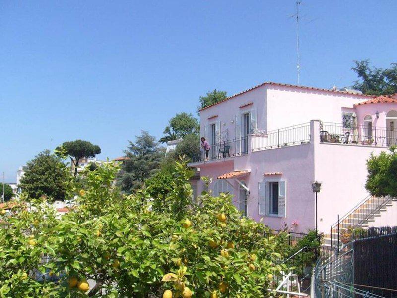 3C2D8AA0B4CE698B5C4B8ABD9711C8C0