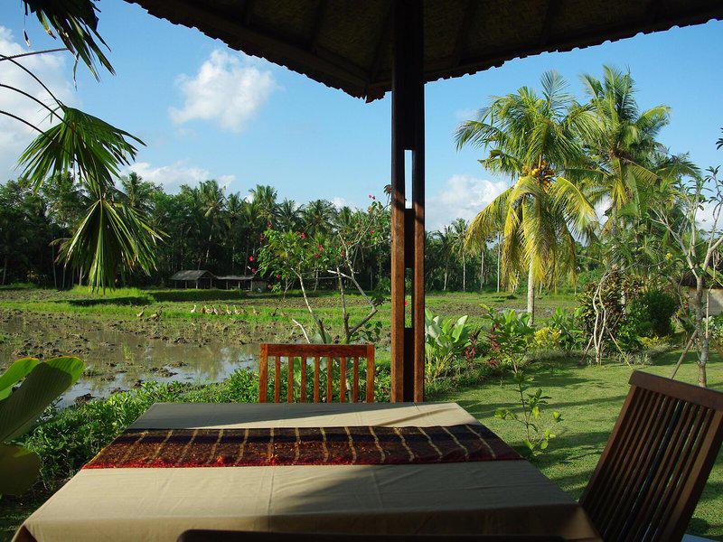 C4C243599B693F14D67764FD86DC9A40