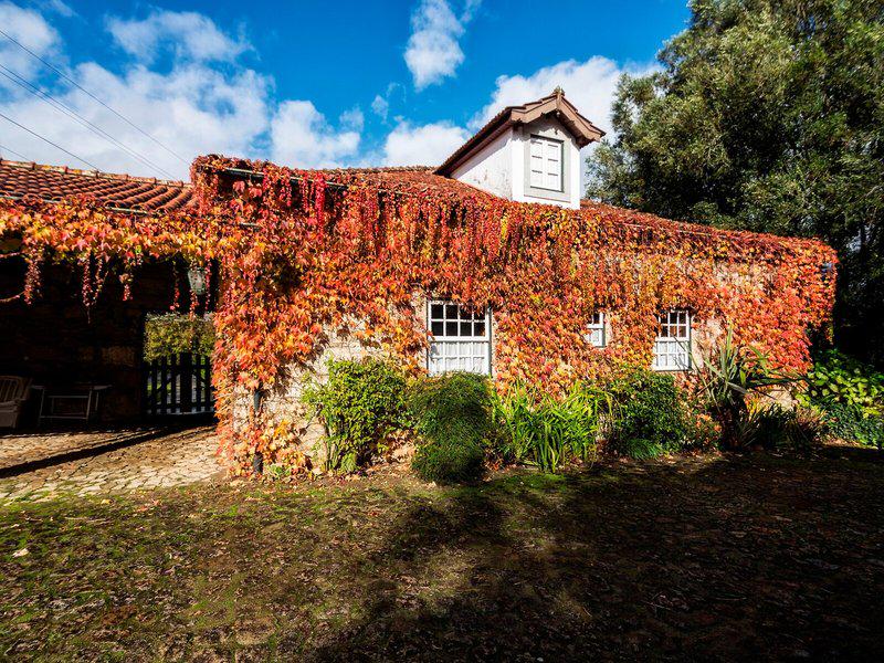 F8D028DA21B4202B86752124B464ADE9