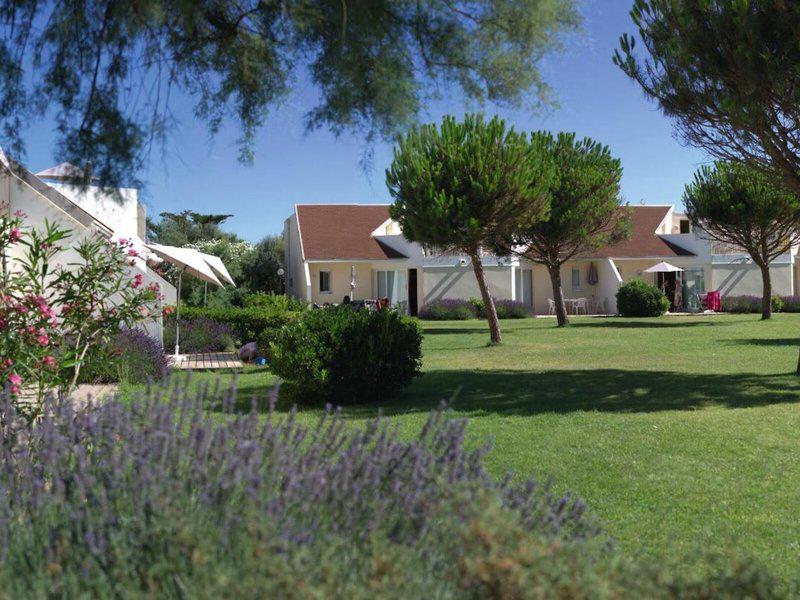 6CE44A5D68242ED1CB68213FAEA30C39