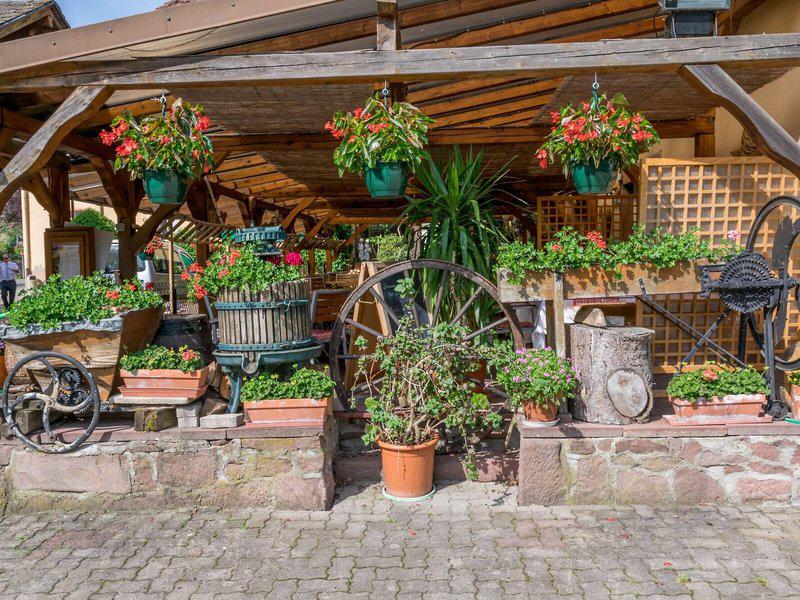 DE20508A58CE3CBD916FAC13AE41E1E8