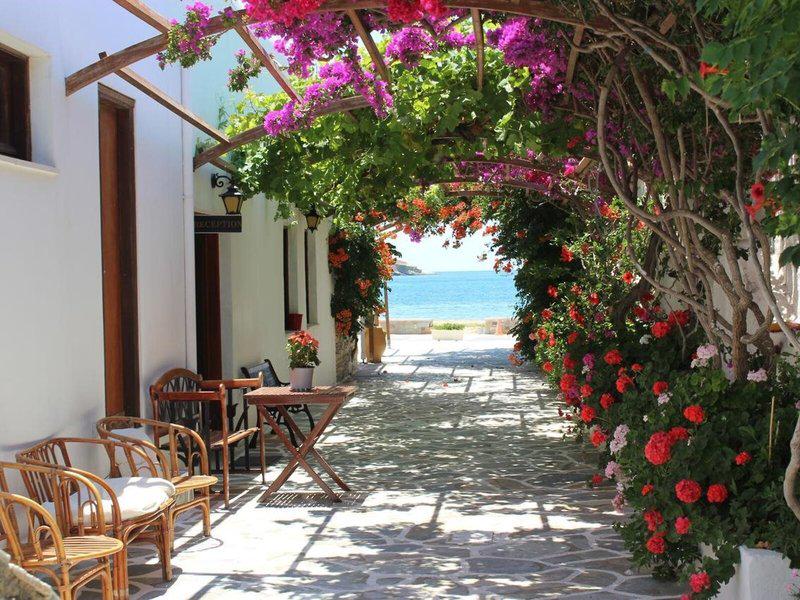 56C3D5F5D56162EF8848ECCE69A2513F