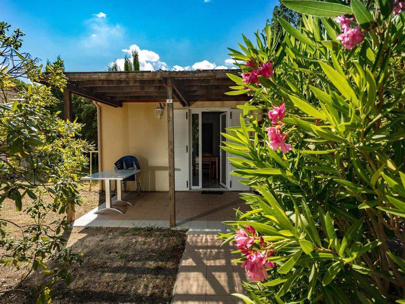 389F552BBA74FAE05EEE2DBDA0E35C53