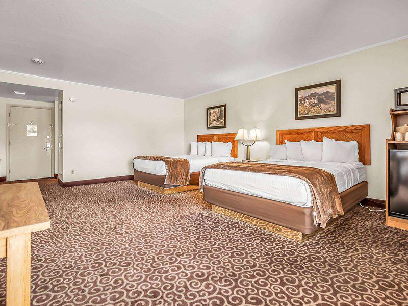 8226154E4D4A69F8AF7E2A6FE3B553EF