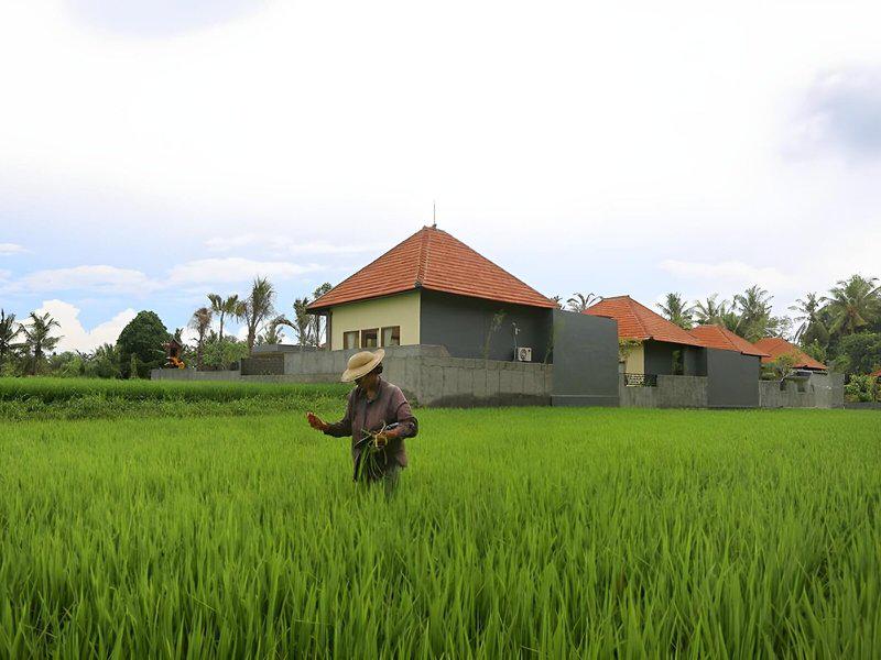 75D44471E914B779375A889F57933439