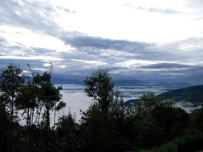 EA95F6C08F4AC1C9D8D3CF7F004E1A6C