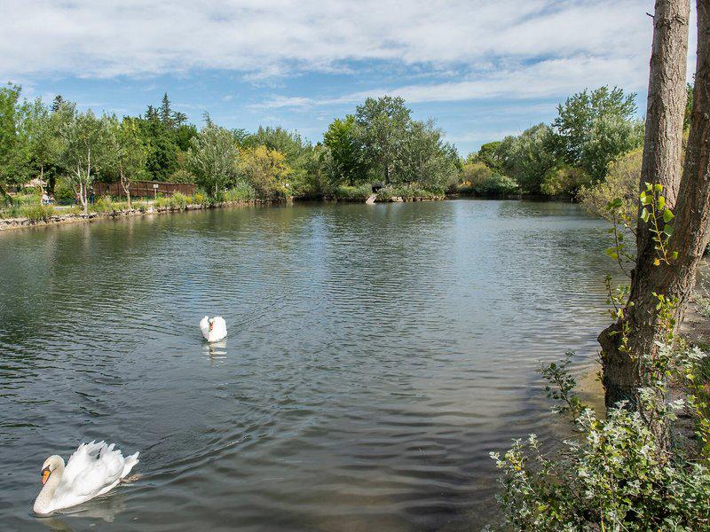 6058224C8D9CDF2F22514CDF79430164