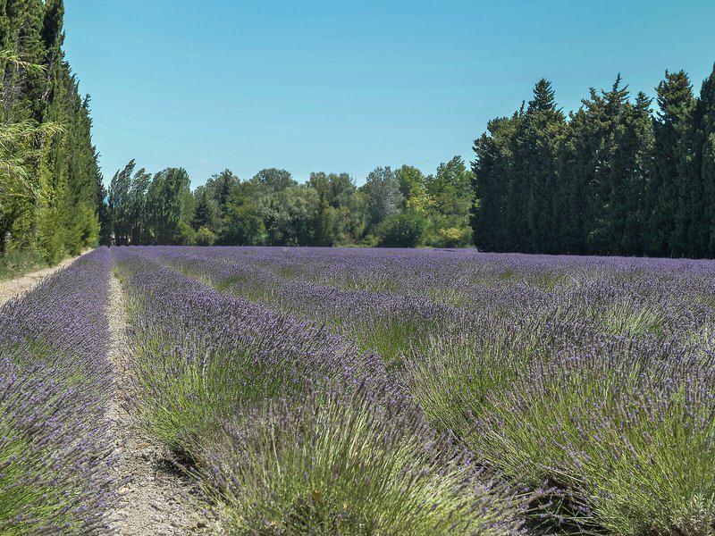 C6A0342C2A620619E4A2AAFF02907CD2