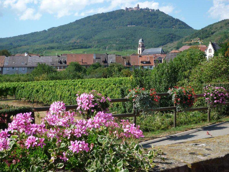 58703B802F04928436DDA9DDCEC2EC86