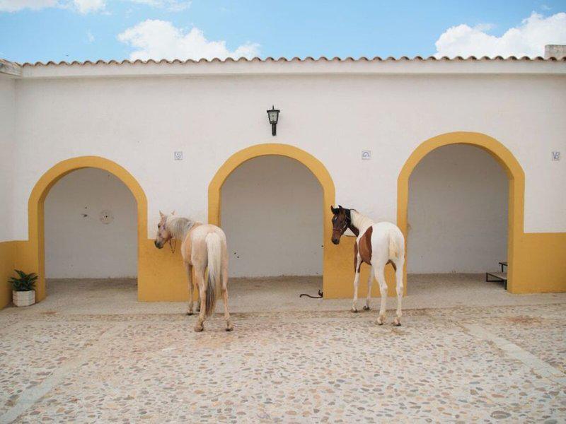 308A826592DA658DB651294A5A5F5D3F