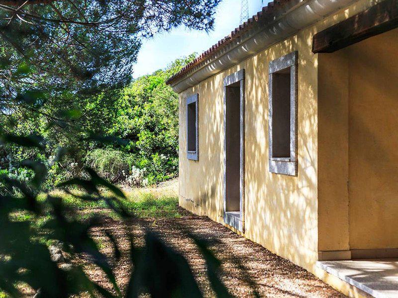 A1BBA980CF9A773AC0177B7331D095FE