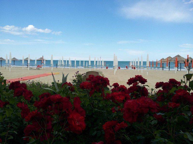 C55636310AD2AC3492C17095B16316B0