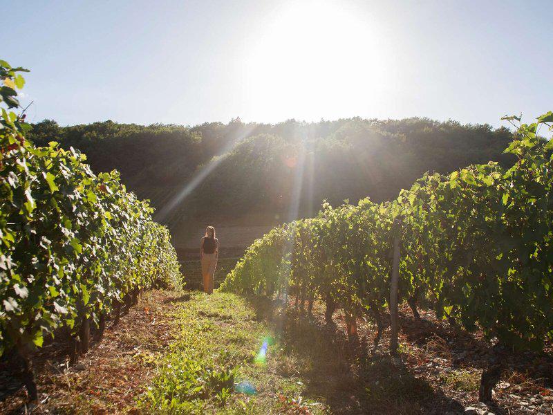 64ECBCC280996016FC04B501603087F0