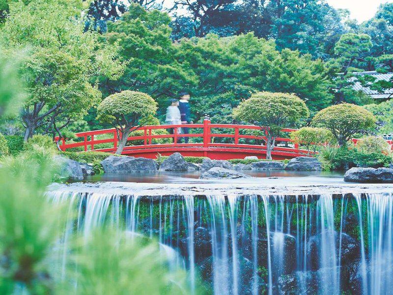 6E8E2C794217521F15069738DE4BC1B1