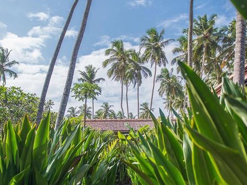 31163B452729D69E8FA8C636F3000B2D