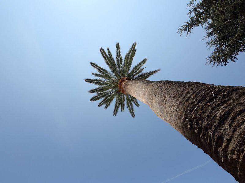 491CC58D2B3A742B9C5E5DFD9C39DDB6