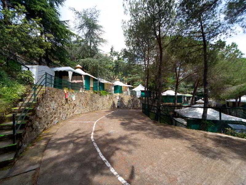 5585AE3233D0504AE214255A0BF683FD