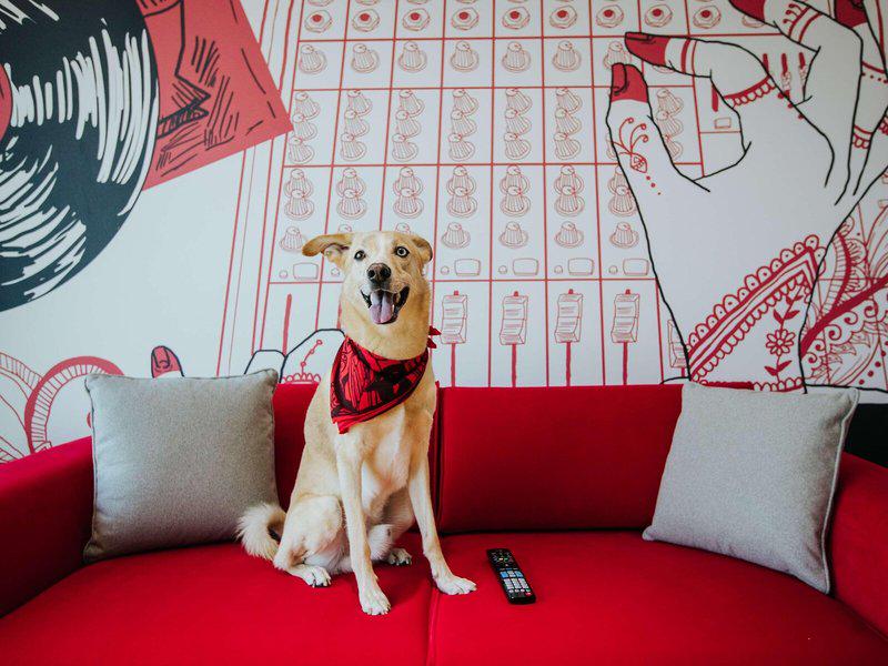 CA033D0D817957D6069D364C8C84B20D