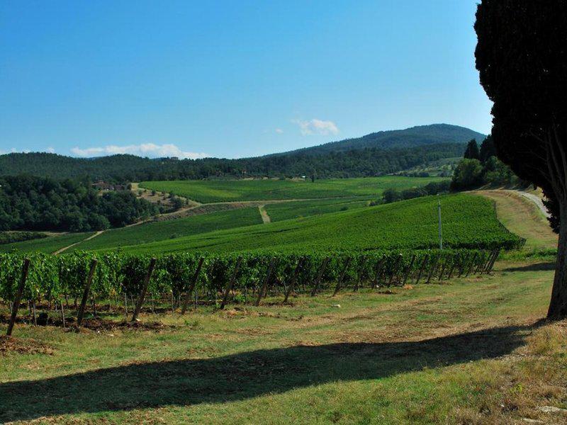 DDF19D5980E658487008BB7AC32BE5D1