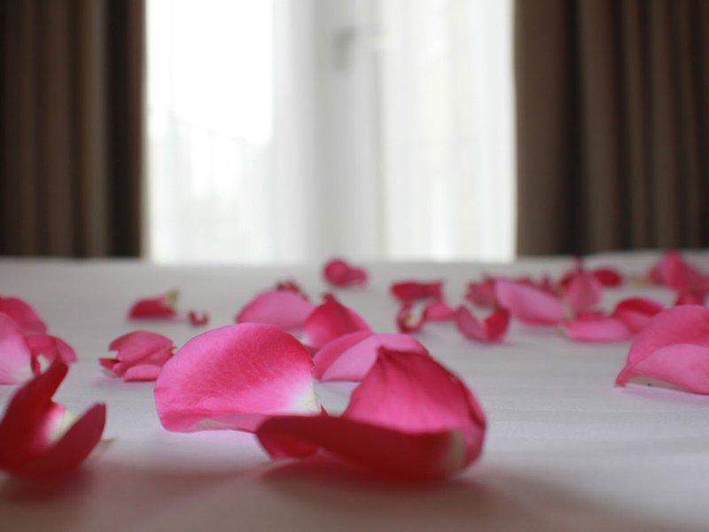 1CF02FF725008CFB26DBDDD4E6C41A21