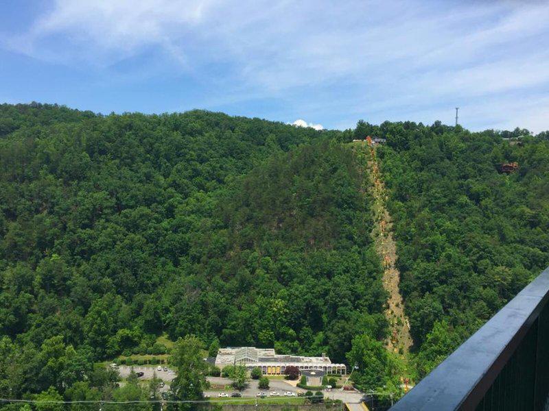 A977B48DFF99E534E1BEF6FC997EB2D9