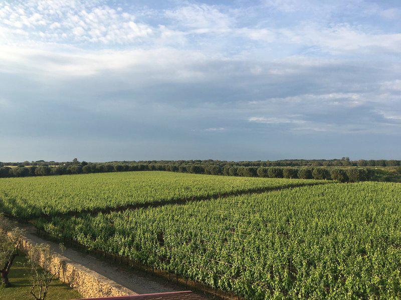 60116E4791FF813809DAEFDD24E02A83