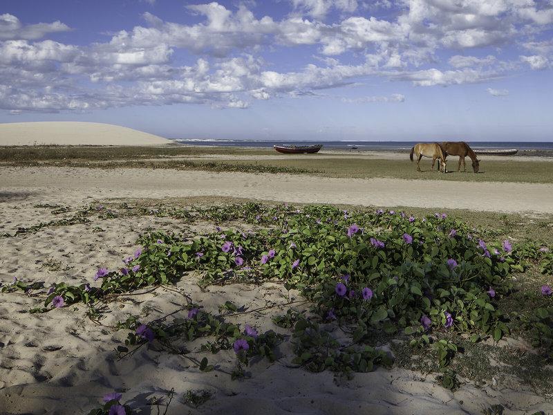 A9E4371942A06A492BB36DFF0FD9E7A5