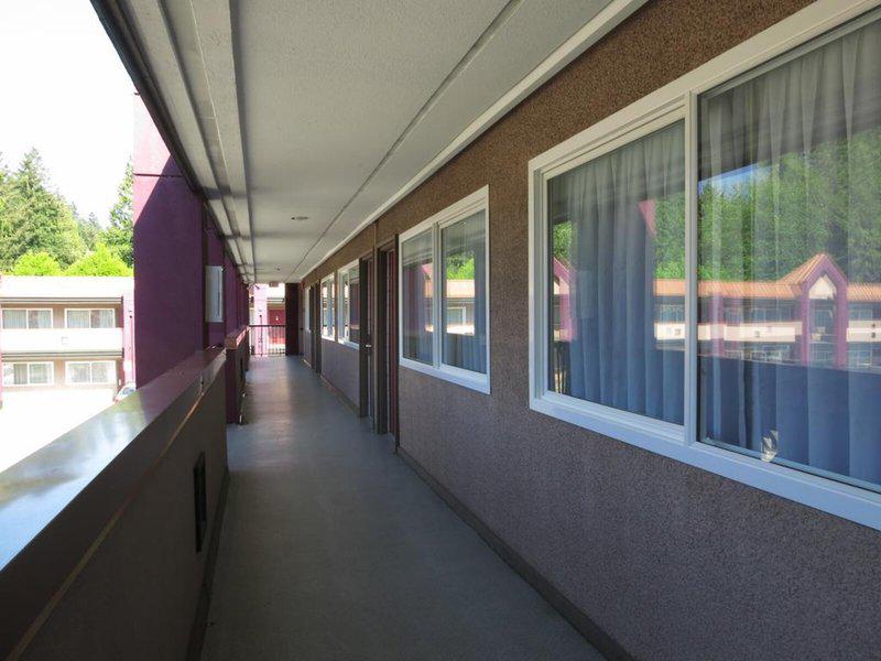 003874185259728FE86A83C1DE8CD1FD