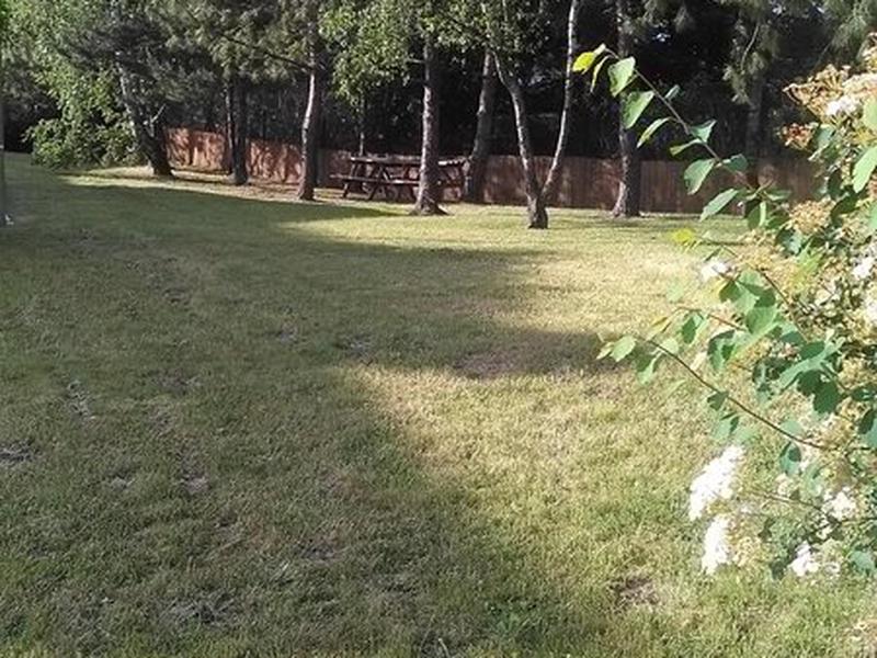 771D03C4573E550153A798C674EFD17E