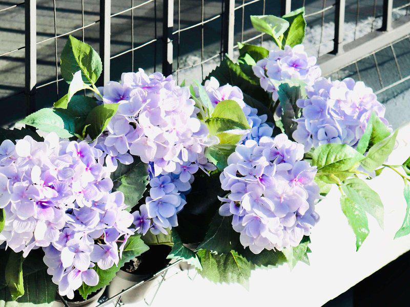 94BA89F906C87B1791343BD18AEA9468