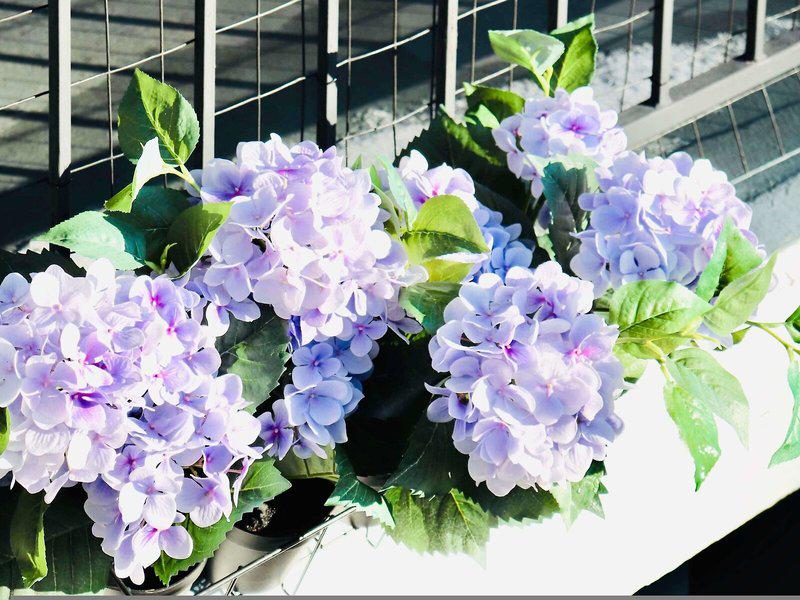 96B9DDF1EC7946AA70E4FE41EA7ABEAE