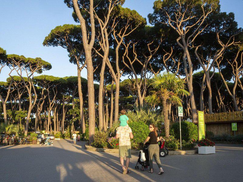 9E1FF28DA058B36B64616E50D013D26D