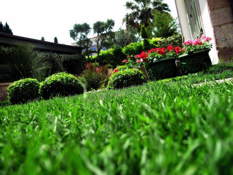 0CFFDBD22A3CB4BDD7C7CCDB82431A81