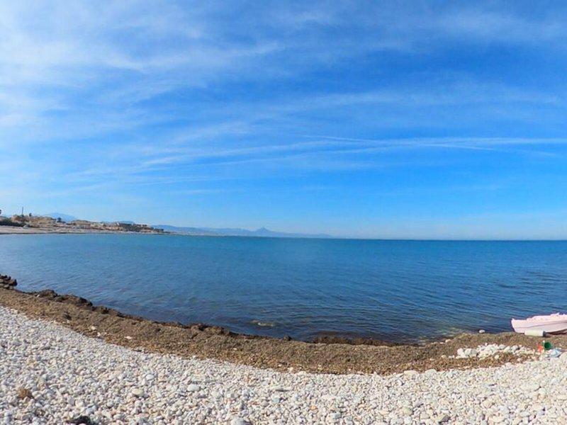 EE0C11D18C6D2A13B59154499A223B5A