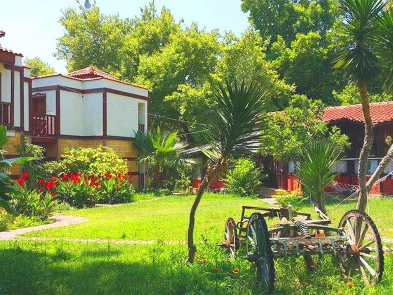 E432A8CF5049974DEBD2A329C9201E68