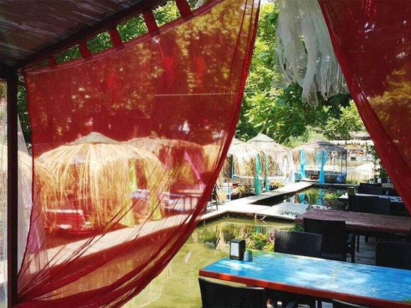 97308AD4E68F45146EC983398C9489C9