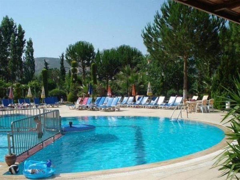 B99D2679DEF24BE02CBC78591AA45957