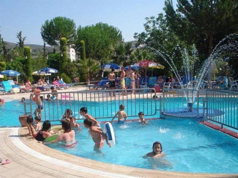 262520D90BD055666A46466B3B76958B