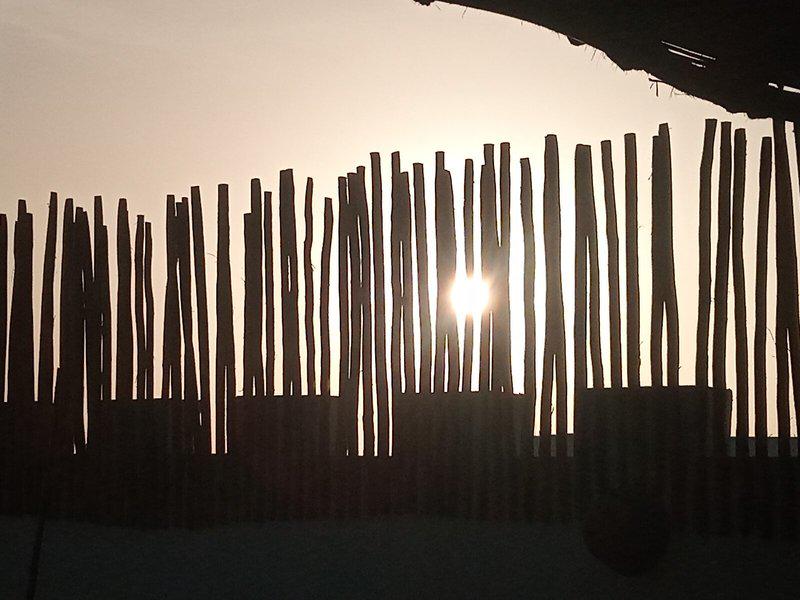 D00D3E47FB695F4179C32876A3EC52C9